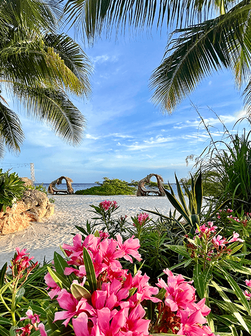 All-Inclusive Resorts